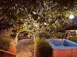 The Alphonso Mango County