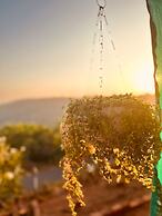 The Alphonso Mango County