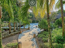 Luxury Oceanfront Villa - Private Beach - Pool
