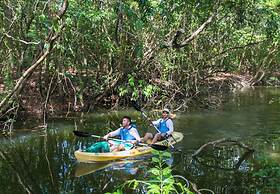 Mayan World Adventures