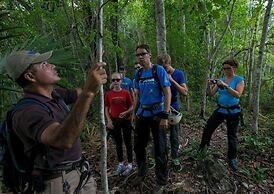 Mayan World Adventures