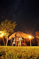 Mayan World Adventures