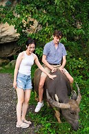 Cometa Villas Ninh Bình