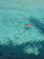 TIKEHAU PARADISE