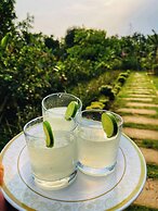 Nirjon Nature's Hideout