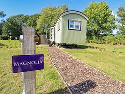 Magnolia