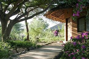 Kia Lodge