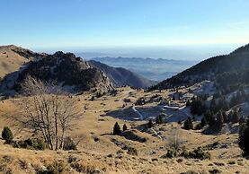 Villa Rosa Apartment