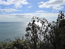 Mayflower View