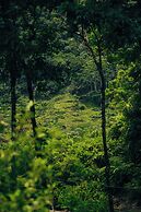 Matahom Forest Glamping Tent 1