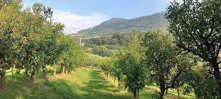 Aura - Dimore ad Arquà Petrarca