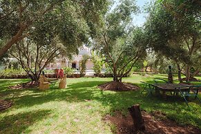 Dar Salah-Eddine Oasis Pool & SPA