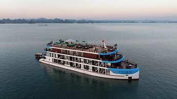 Cycad Cruise