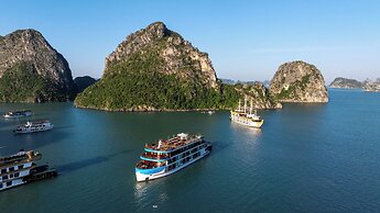 Cycad Cruise