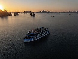 Cycad Cruise