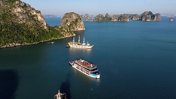 Cycad Cruise