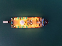 Cycad Cruise