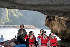 Cycad Cruise