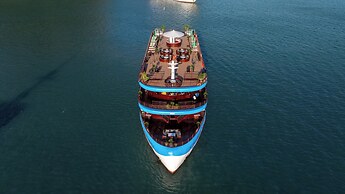 Cycad Cruise