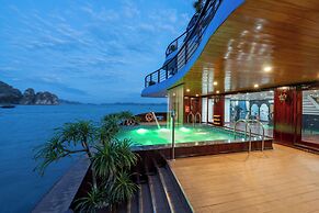 Cycad Cruise