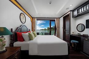 Cycad Cruise