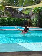 Lemon Tree El Paredon