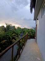 Lemon Tree El Paredon