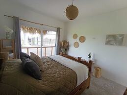 Lemon Tree El Paredon