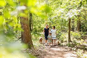 Peaceful Stay Near Trails