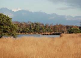 Peaceful Stay Near Trails