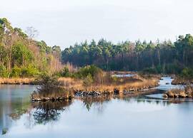 Peaceful Stay Near Trails