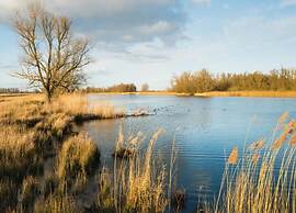 Peaceful Stay Near Trails