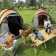 Eljoy's Forest Resort