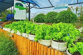 Greenheart Garden View Camp Phuket