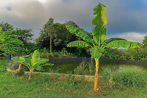 Greenheart Garden View Camp Phuket