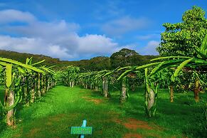 Greenheart Garden View Camp Phuket
