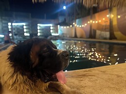 El arca