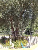 La Cornice Dei Monti