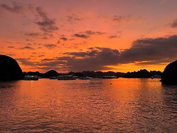 Vietsails cruises