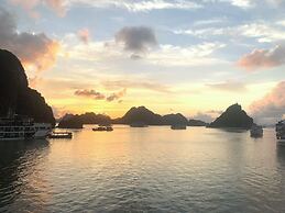 Vietsails cruises