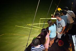 Vietsails cruises