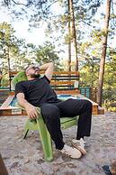Tiny Pines Glamping