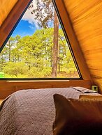 Tiny Pines Glamping