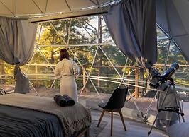 Tiny Pines Glamping