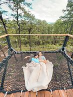Tiny Pines Glamping