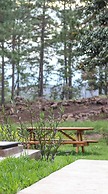 Tiny Pines Glamping