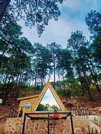 Tiny Pines Glamping