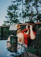 Tiny Pines Glamping