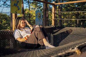 Tiny Pines Glamping
