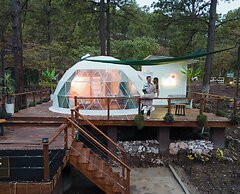 Tiny Pines Glamping